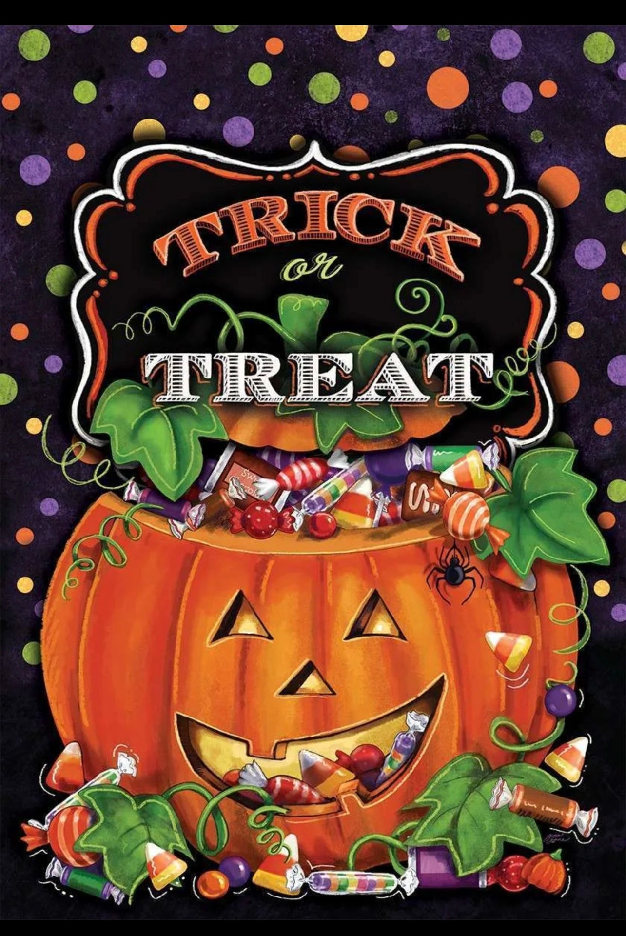 Trick Or Treat Small Flag