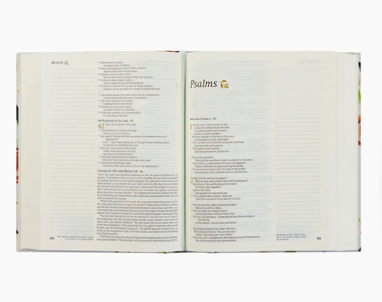 NLT Notetaking Bible: Loveland Theme