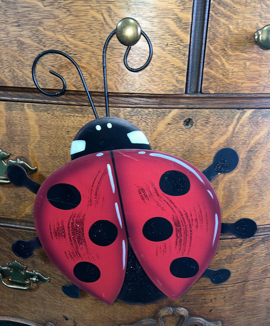 Round Top Collection Ladybug