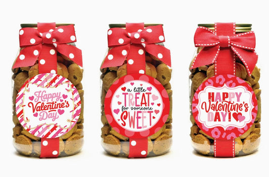 Oh Sugar Valentines Cookies Quart Jar